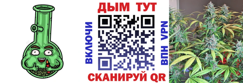 Бошки Шишки сатива  наркотики  Белозерск 